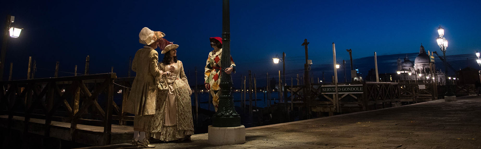 Harlequin in the night